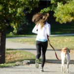 犬の散歩で引っ張られる！引っ張り癖を治すしつけ方法とは？